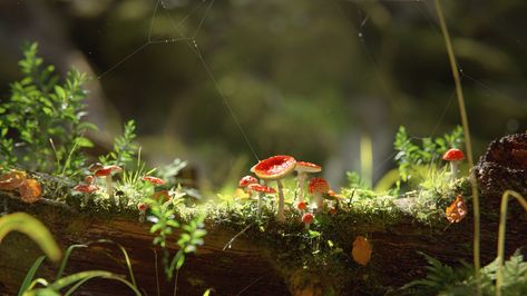 FOREST | CGI on Behance Fairy Tale Projects, Nature 3d, Flower Games, Le Cri, Forest Light, Color Script, Woodland Art, Animation Design, Magical Forest