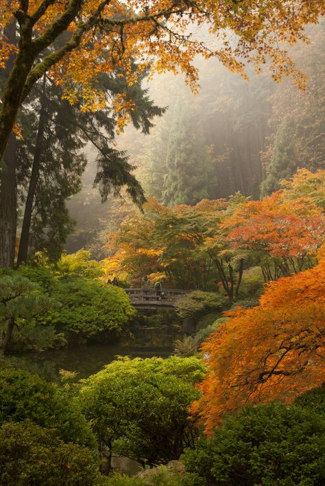 Japanese Garden Decor, Garden Japanese, Portland Japanese Garden, Japanese Garden Landscape, Oregon Portland, Asian Garden, Japanese Garden Design, Garden Backyard, Autumn Scenes