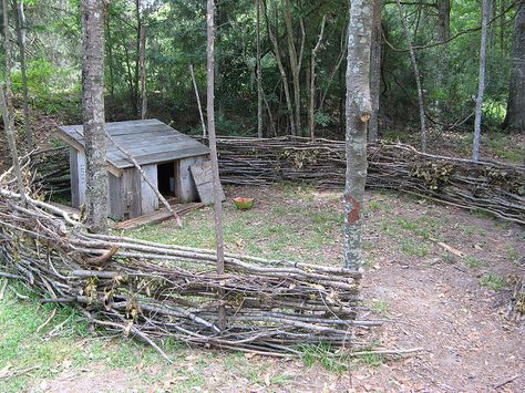 I'm working on building a wattle fence made from woven sticks around the chicken coop. Once completed, we can keep the chickens in here during the day. It will eventually be about 5 feet tall, but is now only about 1.5 feet tall. i have a long way to go.   Mission San Luis historic site in Tallahassee, FL www.missionsanluis.org/ Woven Fence, Wattle Fence, Bushcraft Shelter, Natural Fence, Living Fence, Horizontal Fence, Lattice Fence, Garden Vines, Building A Fence