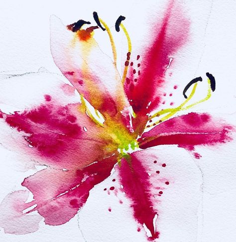 Flower Tats, Alizarin Crimson, Flower Tat, Learn Watercolor Painting, Attention Please, Learn Watercolor, Stargazer Lily, Acrylic Gouache, Abstract Watercolor Art