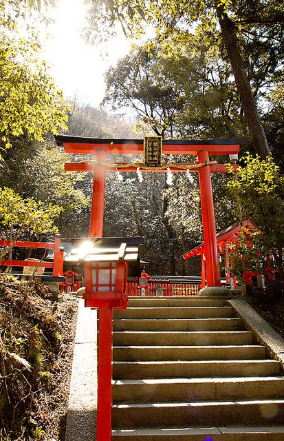 Tori Gate, Japanese Gate, Torii Gate, Japanese Garden Design, Japan Photography, Go To Japan, Japanese Landscape, Japan Aesthetic, Aesthetic Japan