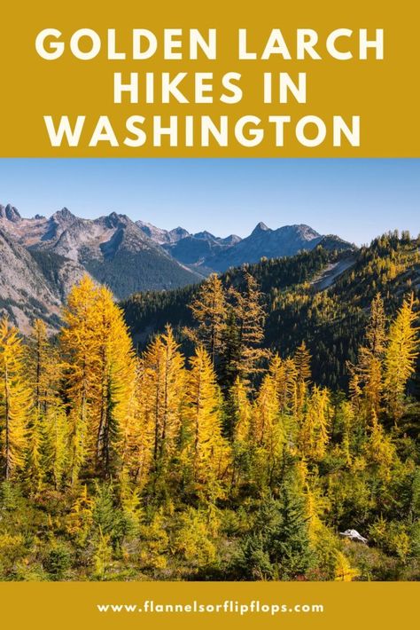 Pnw Hikes, Fall Hikes, Washington Hikes, Washington Travel, Autumn Scenery, Go Hiking, Travel Articles, Time To Go, Travel Planning