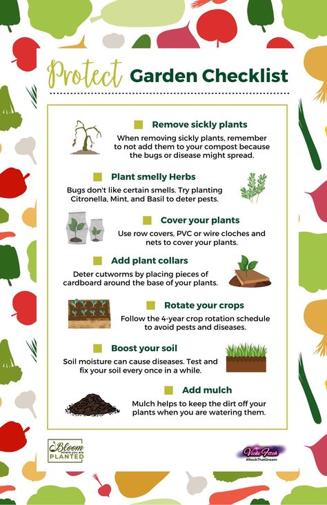 Most if not all gardeners deal with pests, bugs, critters, and disease. So to help you protect your #Garden and avoid these unwanted visitors, we made a #Checklist just for you. You can download it as a graphic and post it on social media with your own logo or print it out and add it to your #BloomWhereYouArePlantedPlatingJournal. Check out this Pinterest board for more checklists like this one and other pages you can add to your planting journal. Roots Illustration, Garden Checklist, Greenhouse Farming, Bio Design, Row Covers, Vegetable Garden Diy, Garden Vegetables, Pest Management, Bloom Where You Are Planted