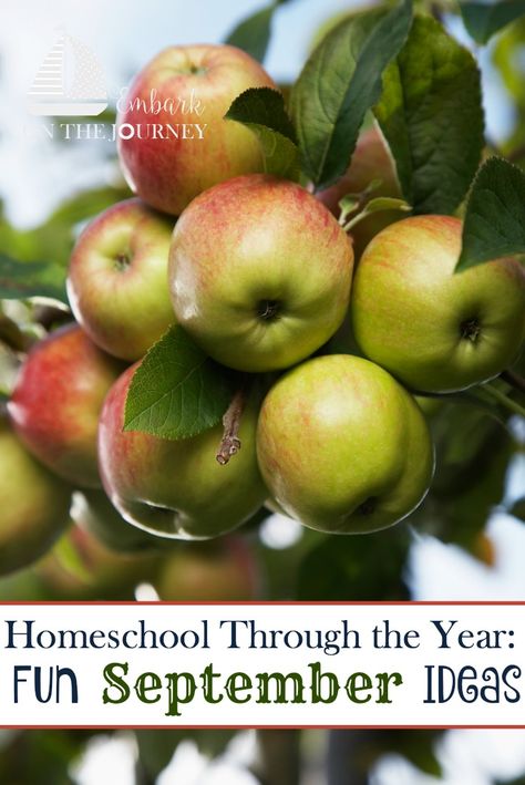 Homeschool Apple Activities, September Homeschool Activities, September Unit Studies, Apple Unit Study 3rd Grade, Fall Homeschool Ideas, September Homeschool Themes, September Homeschool Ideas, Fall Homeschool Activities, September Homeschool