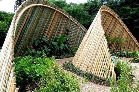 Bamboo Fences, Bamboo Garden, Fence Landscaping, Fence Decor, Unique Gardens, Garden Fencing, Fence Design, Garden Structures, Garden Fence