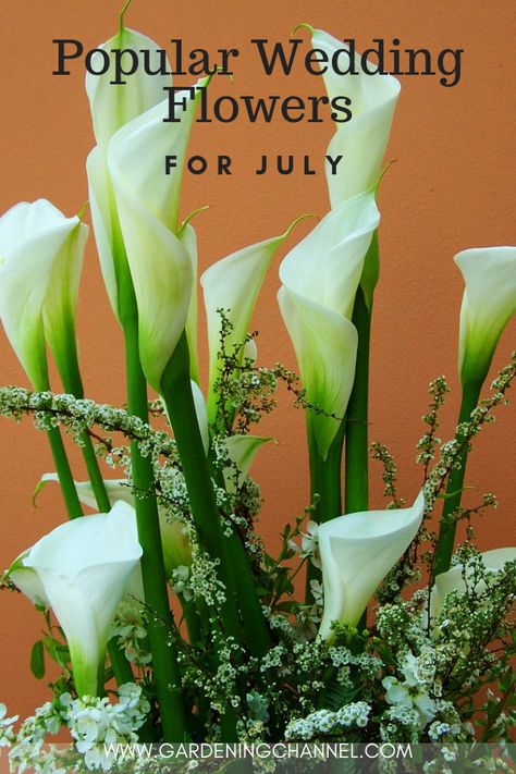 Do you know someone with a July wedding? Learn these top nine popular wedding flowers for July. #gardeningchannel #julywedding #flowergardening Flowers For July Wedding, Wedding Flowers July, July Wedding Flowers In Season, July Flowers In Season, Popular Wedding Flowers, July Wedding Flowers, Greenhouse Flowers, Victorian Theme, July Flowers