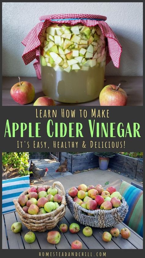 Apple Scraps, Homemade Apple Cider Vinegar, Make Apple Cider Vinegar, Homemade Apple Cider, Canning Food Preservation, Fermentation Recipes, Organic Apple Cider Vinegar, Natural Cold Remedies, Cold Home Remedies