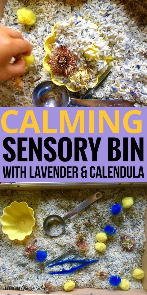 Quiet Bins, Rice Sensory Bin, Lavender Rice, Toddlers Crafts, Over Tired, Preschool Sensory, Sensory Tubs, Winter Reading, Sensory Bags