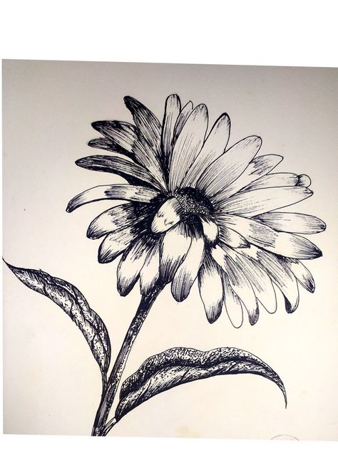 Calendula Flower Drawing, Calendula Flower Tattoo, Calendula Tattoo, Negative Tattoo, Herbal Tattoo, Daisy Flower Tattoos, Botanical Artists, Floral Tattoos, Calendula Flower