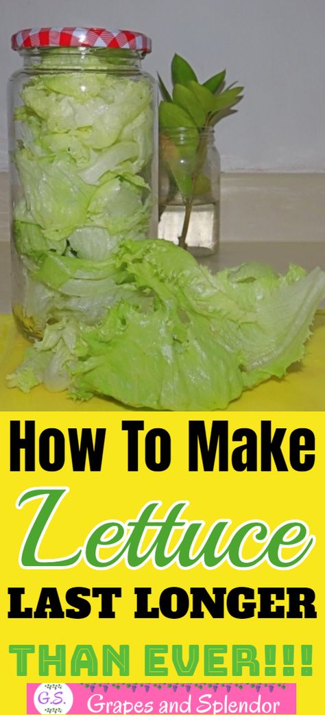 How To Prep Lettuce How To Store, How To Save Lettuce In Fridge, How To Save Lettuce, Storing Iceberg Lettuce In Fridge, How To Crisp Lettuce, How To Keep Bagged Lettuce Fresh Longer, How To Store Iceberg Lettuce, How To Preserve Lettuce In The Fridge, Best Way To Keep Lettuce Fresh