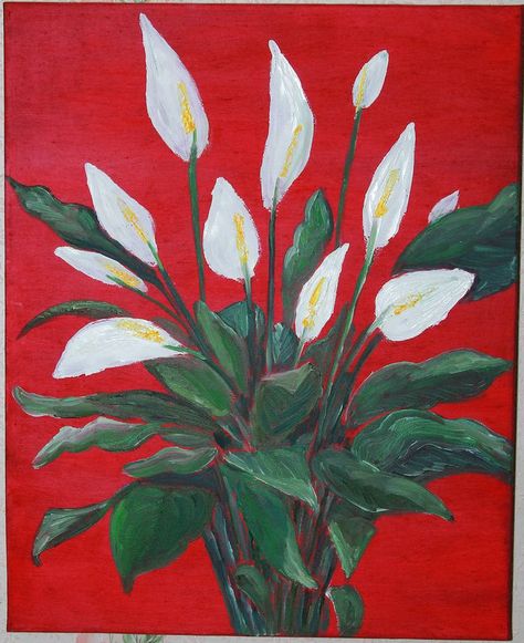 Original Floral Painting by Viktoria Viktoria | Minimalism Art on Canvas | Spathiphilum on red background Check more at https://codlu.com/us/original-floral-painting-by-viktoria-viktoria-minimalism-art-on-canvas-spathiphilum-on-red-background/ Red Background Painting, Red Backgrounds, Meaningful Paintings, Dark Red Background, Background Painting, Minimalism Art, Red Painting, Abstract Flower Art, Painting Canvases