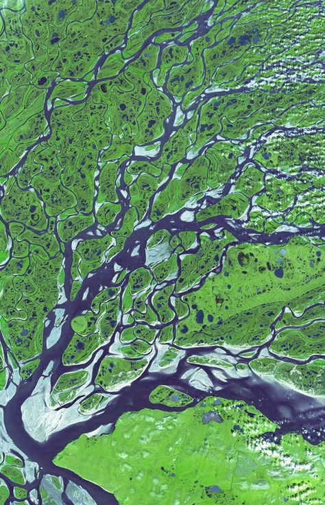 A satellite image Lena Delta in Russia Satellite Pictures, River Delta, Satellite Image, Earth From Space, Take Better Photos, Foto Art, Aerial Photo, Birds Eye View, Aerial Photography