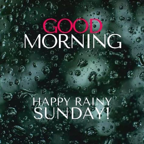 Sunday Rainy Day Quotes, Sunday Rainy Morning Quotes, Good Morning Rainy Sunday, Happy Rainy Day Good Morning, Rainy Sunday Morning Quotes, Happy Rainy Sunday, Rainy Morning Quotes, Morning Rainy Day, Rainy Sunday Morning