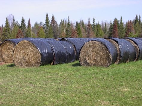 Round Bale Storage, Horse Round Bale Feeder Diy, Pallet Round Bale Feeder, Round Bale Feeder For Horses, Round Bale Hay Feeder For Horses, Hay Storage, Hay Bales, Wood