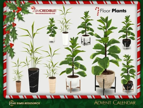 The Sims Resource - Advent Calendar 2022 - 4 [Patreon] Sims 4 Indoor Plants, Sims 4 Cc Plants Patreon, The Sims 4 Cc Plants, Sims 4 Mods Folder, Girl Sims 4 Cc, Sims 4 Cc Decor, Sims4 Furniture, Sims 4 Free Mods, Advent Calendar 2022