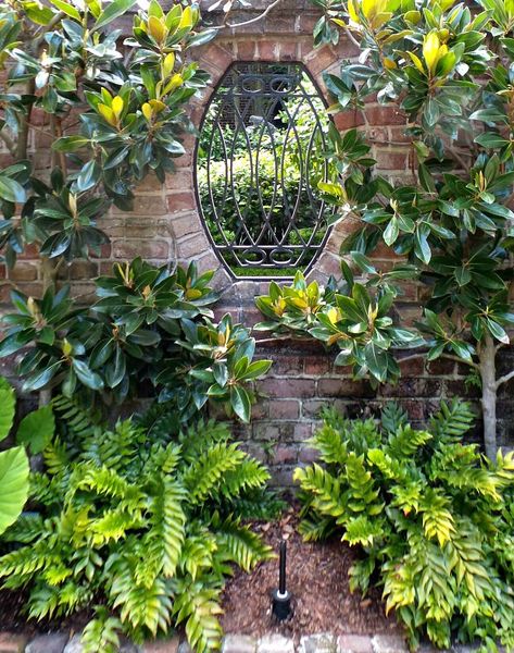 charlestongardens1 Charleston Green, Green Front Door, Charleston Gardens, Green Front Doors, Courtyard Gardens, Landscape Design Plans, Tropical Landscaping, Gorgeous Gardens, Courtyard Garden