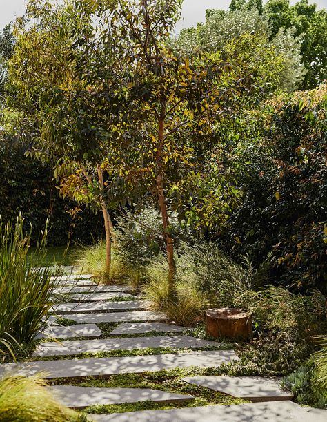 Peachy Green Landscape, Australian Backyard Ideas, Australian Native Garden Design, Landscape Design Melbourne, Australian Gardens, Pathway Ideas, Australian Garden Design, Native Gardens, Australian Native Garden