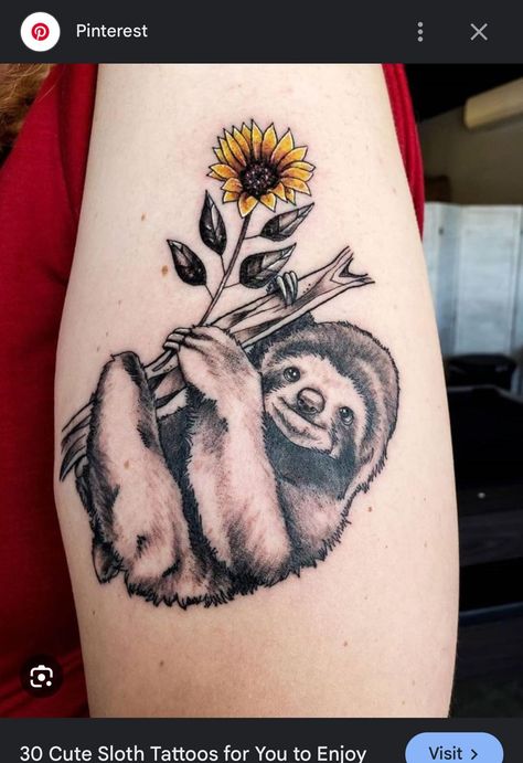 Sloth Tattoos, Sloth Family, Southern America, Sloth Tattoo, Cute Sloth, Tropical Forest, Lizards, Pretty Tattoos, Sloth