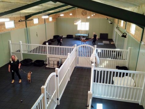 Indoor Dog Training Facility, Dog Training Facility Layout, Doggie Daycare Ideas, Whelping Room, Dog Facility, Pet Hotel Design, Dog Daycare Design, Dog Resort, Pet Sanctuary