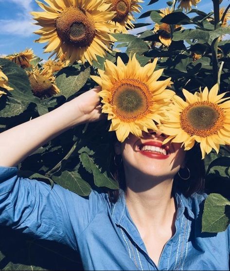 Swimming Senior Pictures, Sunflower Field Pictures, Sunflower Photography, Sunflower Photo, Sunflower Pictures, Sunflower Garden, Sunflower Wallpaper, Sunflower Field, Natural Light Photography