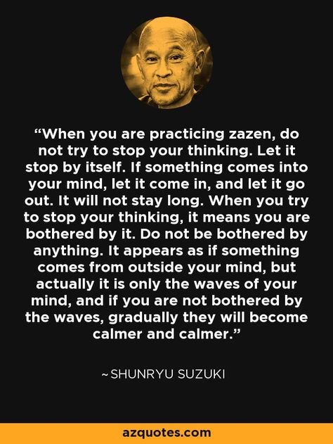 Shunryu Suzuki, Thich Nhat Hanh Quotes Mindfulness, Zazen Meditation, Thich Nhat Hanh Quotes, Zen Quotes, Buddhism Quote, Inspirational Quotes About Success, Buddhist Quotes, Awakening Quotes