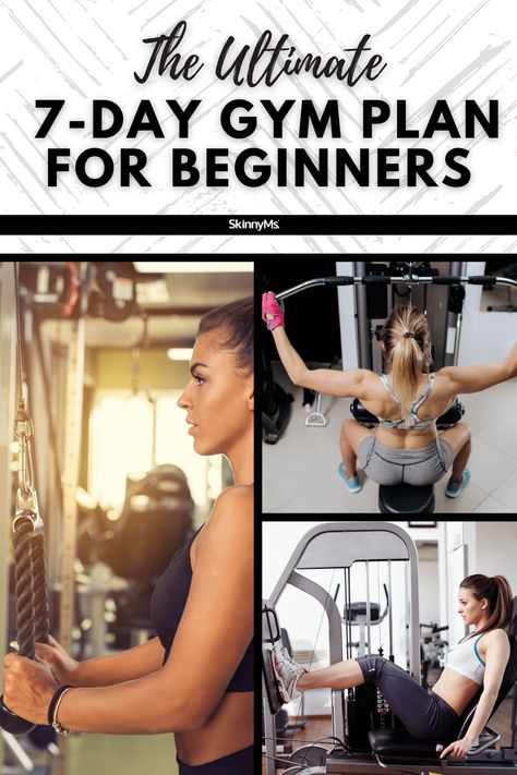 Weightlifting Women Routine Gym, Gym Floor Workouts Women, What Machines To Use At The Gym For Women, Weight Training Workouts For Women Plan, Workout Routines At The Gym Women Beginner, Weight Training For Fat Loss Gym, Work Out Schedule For Women Gym, Gym Machine Back Workout, Arms Day Gym