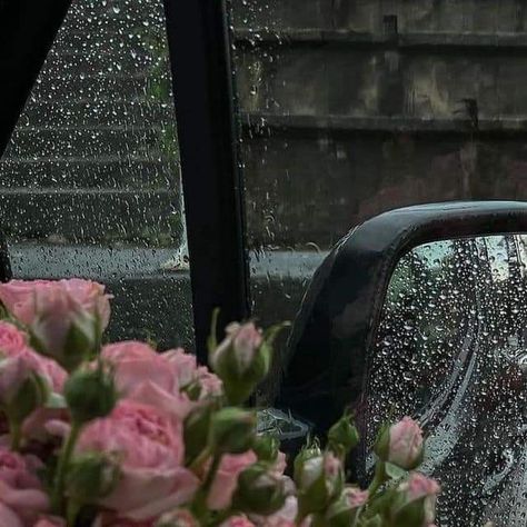 Window Flowers, Weather Photography, Rainy Window, Paris Mood, Raindrops And Roses, Blur Photography, Istanbul City, Instagram Flowers, Foggy Forest