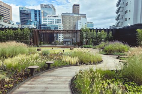 Minimal Landscape Design, Commercial Landscaping, Garden Floor, Park Landscape, Landscape Architecture Design, Urban Fabric, Rooftop Garden, Roof Garden, Green Roof