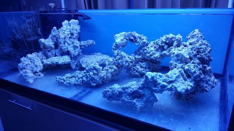 Cool reef tank aquascapes? | REEF2REEF Saltwater and Reef Aquarium Forum Saltwater Aquascape Ideas, Reef Tank Aquascaping Ideas, Saltwater Aquarium Aquascaping, Saltwater Rockscape, Reef Scape, Saltwater Aquascape, Rock Aquascape, Reef Aquascape, Reef Tank Design