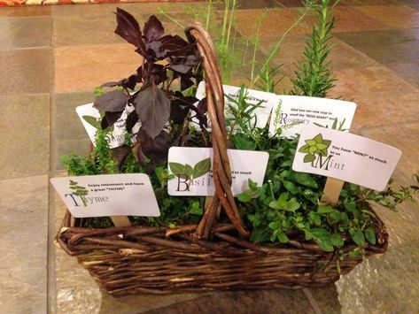 Retirement gift herb basket with puns on the labels. Thyme: Enjoy retirement and have a great "thyme." Dill: Your friendship is the real "dill". Mint: You have "mint" so much to us. Sage: Thank you for sharing your "sage" wisdom with us. Rosemary: Glad you can now stop to smell the "rosemary." Basil: Don't forget to touch "basil" often. Plant Hampers, Theme Retirement Party, Herb Basket, Enjoy Retirement, Retirement Party Ideas, Sage Wisdom, Retirement Party Themes, 50th Birthday Quotes, Stop And Smell The Roses