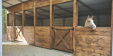 Custom stall fronts done by my husband. Took a metal building and turned it into a barn. How To Build A Horse Stall, How To Build Horse Stalls, Small Stable Ideas Horse Stalls, Diy Stall Doors, Diy Stall Fronts, Barn Stall Ideas, Diy Horse Stalls, Shop With Horse Stalls, Horse Stalls Diy