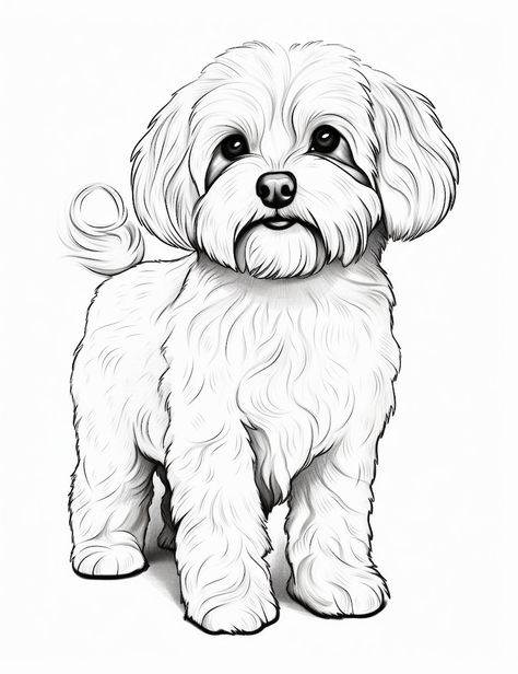 Maltipoo Painting, Cavapoo Drawing, Maltipoo Drawing, White Dog Drawing, Maltese Drawing, Drawing Ideas Dog, Cute Dog Sketch, Dog Doodles, Cartoon Dog Drawing