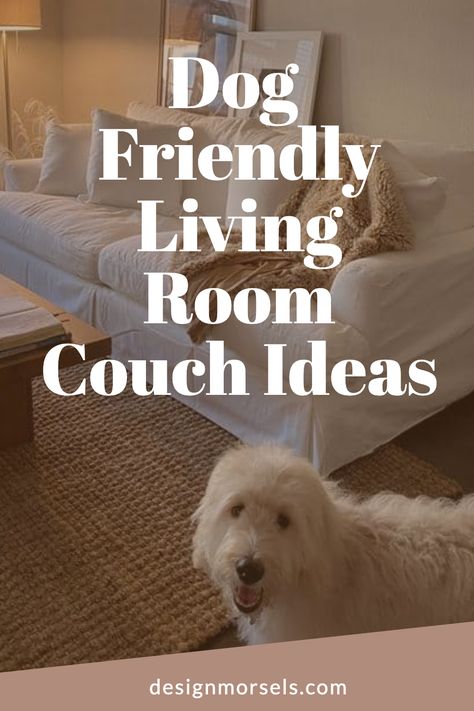 Dog Friendly Living Room Couch Ideas Living Room Ideas With Dogs, Dog Friendly Living Room Ideas, Dog Friendly Living Room, Room Couch Ideas, Living Room Couch Ideas, Pet Friendly Living Room, Couch Ideas, Dog Spaces, Dog Couch