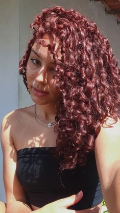 Burgundy Hair Curly Highlights, 3b Red Curly Hair, Red Violet Curly Hair, Black Cherry Hair Curly, Dark Wine Red Curly Hair, Cute Hair Colors For Curly Hair, Dark Cherry Red Hair Curly, Cherry Cola Curly Hair, Curly Cherry Red Hair