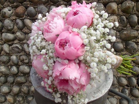 peonie and gypsophila handtied bouquet Flower Box, Winter Aesthetic, Flower Boxes, White Flowers, Peonies, Bouquets, Wedding Flowers, Floral Wreath, Collage