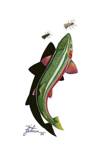 Flyfishing Art, Trout Tattoo, Fly Fishing Tattoo, Trout Painting, Trout Art, Shadow Tattoo, Fly Fishing Art, Fishing Art, Fishing Flies