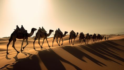 a camel train in the sahara desert,hd photography photo,sky,camel,camelid,working animal,erg,arabian camel,landscape,singing sand,horizon,aeolian landform Desert Background, Hd Photography, Landform, The Sahara Desert, Stick Figure Drawing, Sky Background, Sahara Desert, Work With Animals, Photography Wallpaper