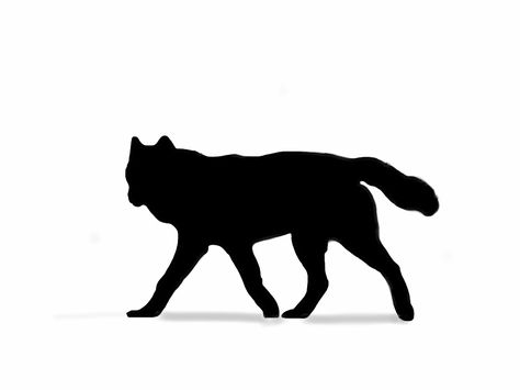 Wolf Silhouette Tattoo, Wolf Growling, Math Wallpaper, Silhouette Tattoo, Tattoo Wolf, Wolf Running, Wolf Silhouette, Baby Wolf, Practice Drawing