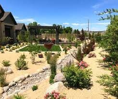 High Desert Landscaping, Desert Backyard, Types Of Mulch, Mulch Landscaping, Northern Nevada, Conserve Water, Sustainable Landscaping, Commercial Landscaping, Backyard Plants