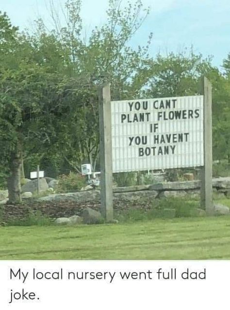 Gardening Jokes, What’s Going On, Dad Jokes, Funny Signs, A Sign, Tumblr Funny, Botany, Bones Funny, Funny Cute