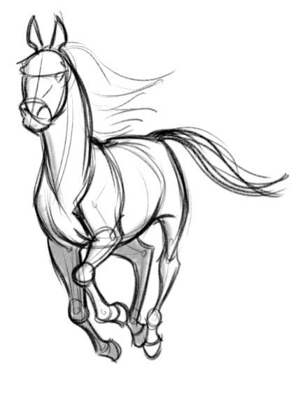 Concept Design Sketches - The Art of David Boudreau ★ Find more at http://www.pinterest.com/competing Pony Sketches To Draw, Movement Art Drawing Ideas, Horse Character Illustration, Spirit Horse Drawing Base, Galloping Horse Drawing, Horse Base Drawing, Horse Drawing Simple, Horse Concept Art, Horse Drawing Reference