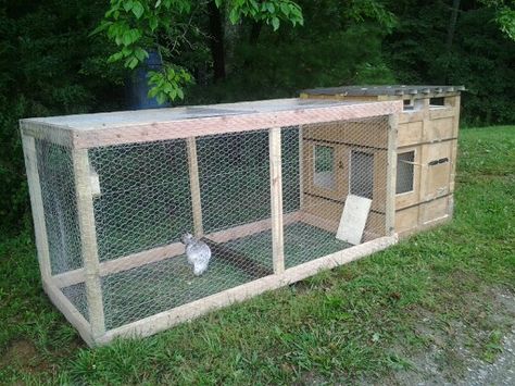 Chicken coop from old shipping crate. Miss Kitty seems to like it! Shipping Crate Chicken Coop, Chicken Hut, Wood Crate Shelves, Chicken Boxes, Wooden Shipping Crates, Rustic Farmhouse Furniture, Beer Crate, Shipping Crates, Crate Cover