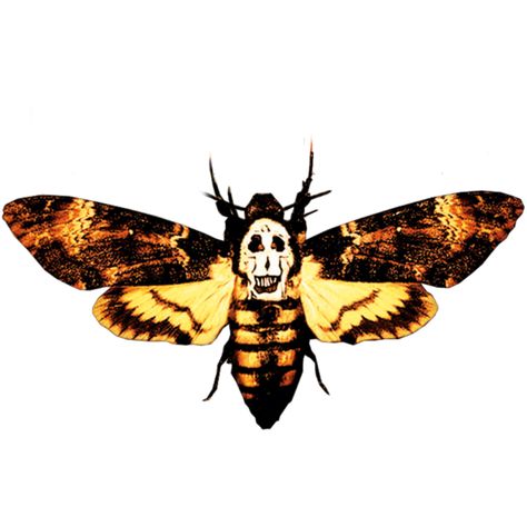 Moth From Silence Of The Lambs, The Silence Of The Lambs Aesthetic, Moth Bleach Design, Silence Of The Lambs Moth, Moth Png, Horror Sleeve, Lamb Drawing, Bleach Designs, Lamb Tattoo