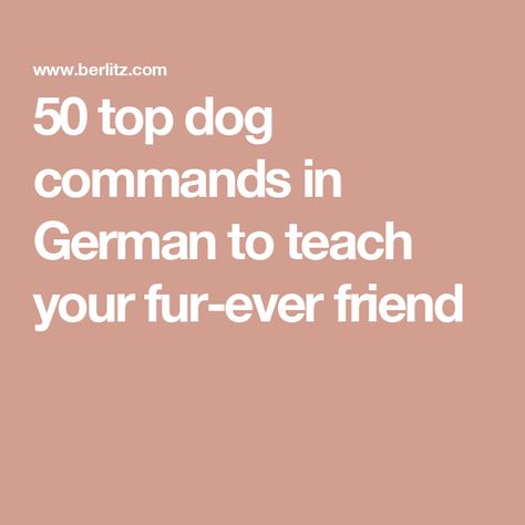 50 top dog commands in German to teach your fur-ever friend German Dog Commands, Police Dog Training, Dog Training Commands, Baby Voice, German Dogs, Dog Commands, Dog German, German Dog, Most Popular Dog Breeds