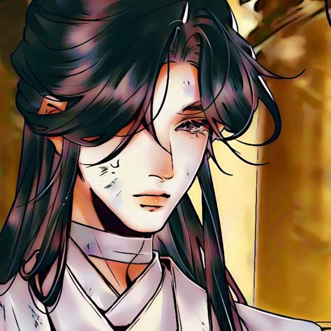 Xie Lian Pfp, Xie Lian Icon, Anime Character, Hair, Anime, White