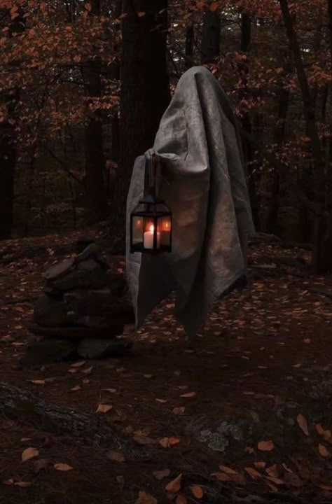 Fall Halloween Aesthetic, Autumn Cats, Lantern Ghost, Salem Halloween, Cover Couple, Friends Outfits, Halloween Traditions, Fall Mood Board, Fall Mood