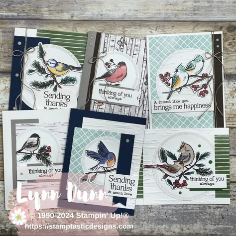 Winter Card Ideas, Cards With Birds, Simple Card Ideas, Stamptastic Designs, Christmas Card Tutorials, Designer Paper Cards, Stampin Up Christmas Cards, Stampin Up Christmas, Designer Series Paper