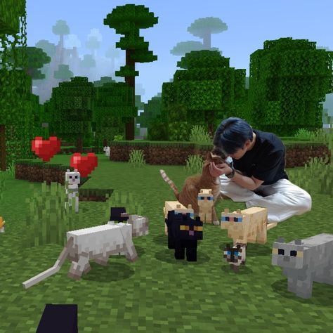 Minecraft Skins Kpop, Ece Core, A Bunch Of Cats, Bunch Of Cats, Minho's Cats, Leeknow Hyunjin, Skz Meme, Hyunjin Changbin, Hyunjin Icons