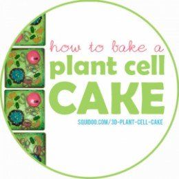 Plant Cell Cake With Candy, 3d Cell Project, Plant Cell Cake, 3d Plant Cell, Edible Cell Project, Cell Cake, 3d Animal Cell, Plant Cell Project, Edible Cell