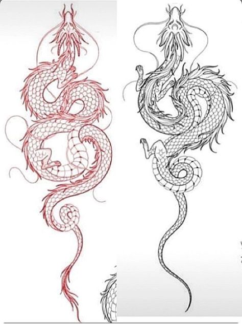 Outline Dragon Tattoo, Dragon Tattoo Outline, Dragon Tattoo Stencil, Dragon Tattoo Drawing, Rare Tattoos, Red Dragon Tattoo, Gangsta Tattoos, Dragon Tattoo For Women, Dragon Tattoos